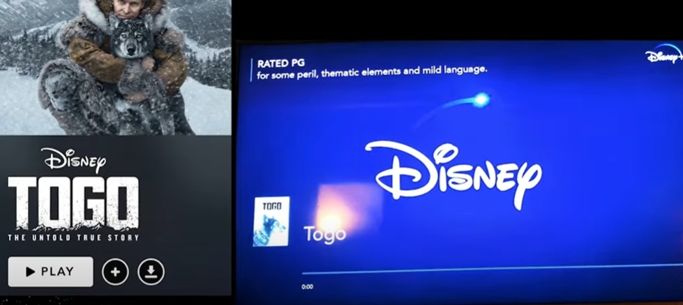 Does Disney+ Work With Chromecast?(Full Integration Guide) 