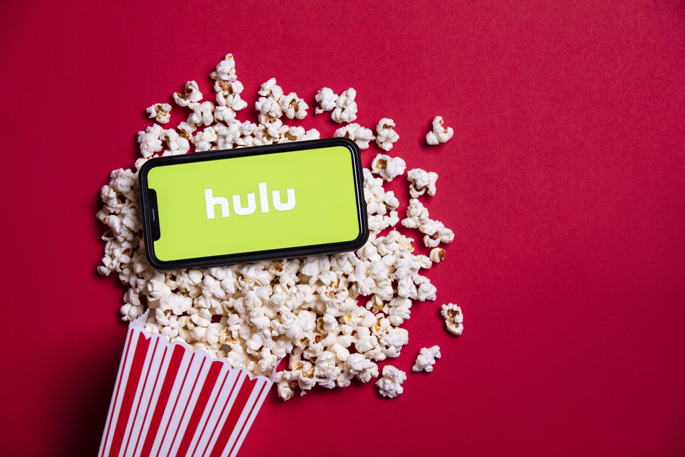 Fixed:Hulu Won’t Let You Login On TV (Login, Email, Captcha)